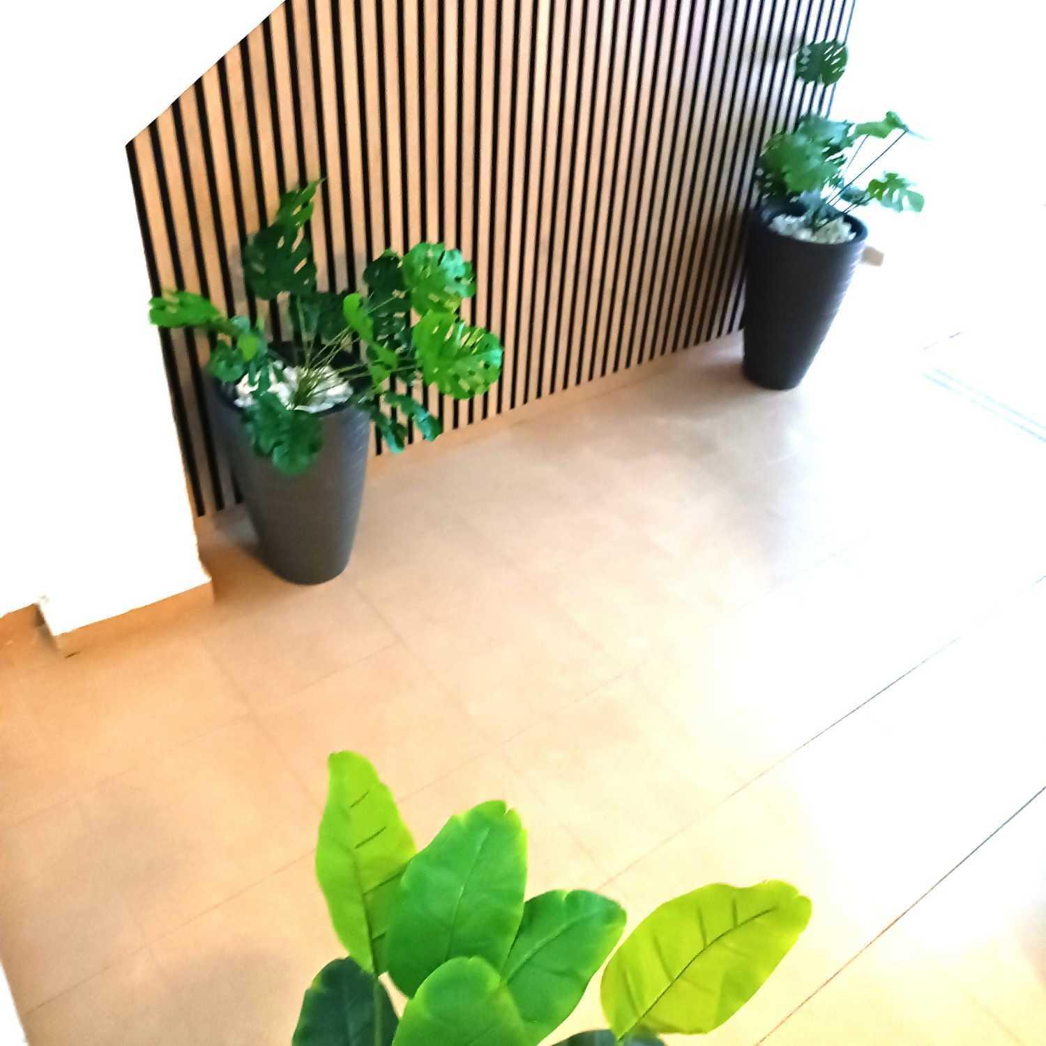 Apartamentos Larios Màlaga Exteriér fotografie