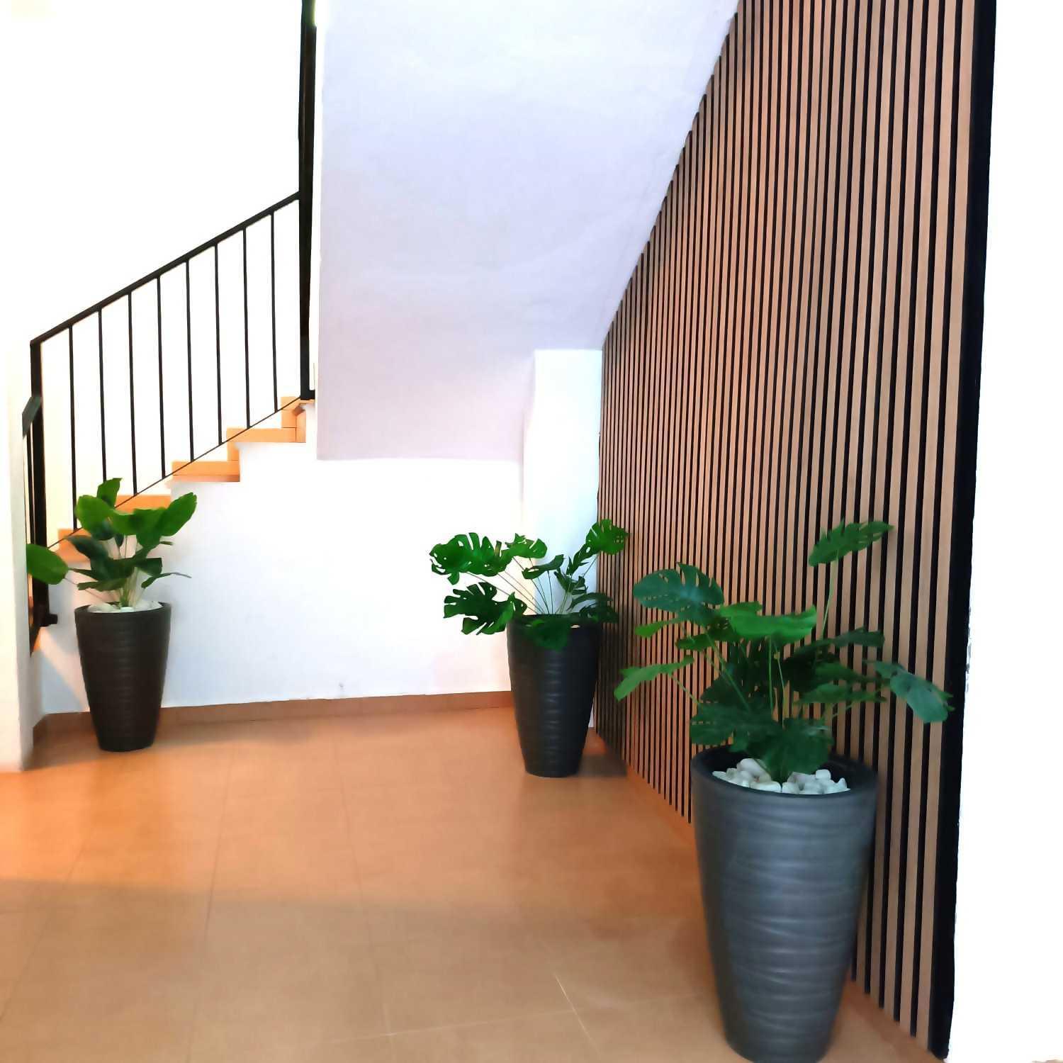Apartamentos Larios Màlaga Exteriér fotografie