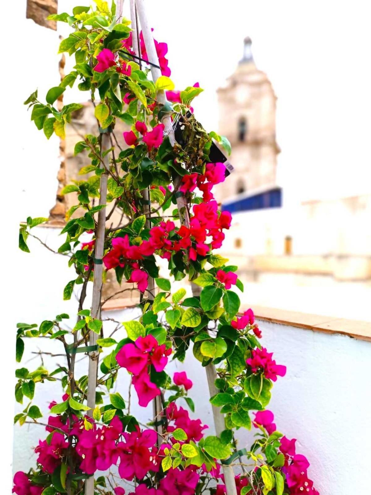 Apartamentos Larios Màlaga Exteriér fotografie